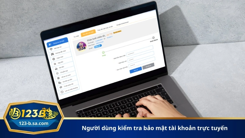 người dùng kiểm tra bảo mật tài khoản trực tuyến