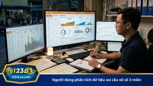 người dùng phân tích dữ liệu soi cầu xổ số 3 miền